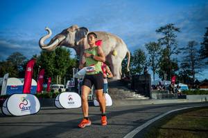 BIB: 
                            <button type="button" onclick="openModal(26541572)" class="btn btn-primary btn-sm float-right btn-popup" data-toggle="modal" data-target=".modal-high-quality">
                        <i class="fas fa-shopping-cart"></i> Add to Cart
                    </button>
                                            <button type="button" onclick="isThisMe(26541572, true)" class="btn btn-success btn-sm float-right btn-popup btn-isme hidden" data-toggle="tooltip" data-placement="bottom" title="นี่คือรูปของคุณใช่ไหม คลิกที่นี่เพื่อเอาเข้าอัลบั้ม">
                        <i class="fas fa-plus"></i> Add to album
                    </button>
                    <button type="button" onclick="isThisMe(26541572, false)" class="btn btn-warning btn-sm float-right btn-popup btn-isnotme hidden">
                        <i class="fas fa-ban"></i> Remove from album
                    </button>